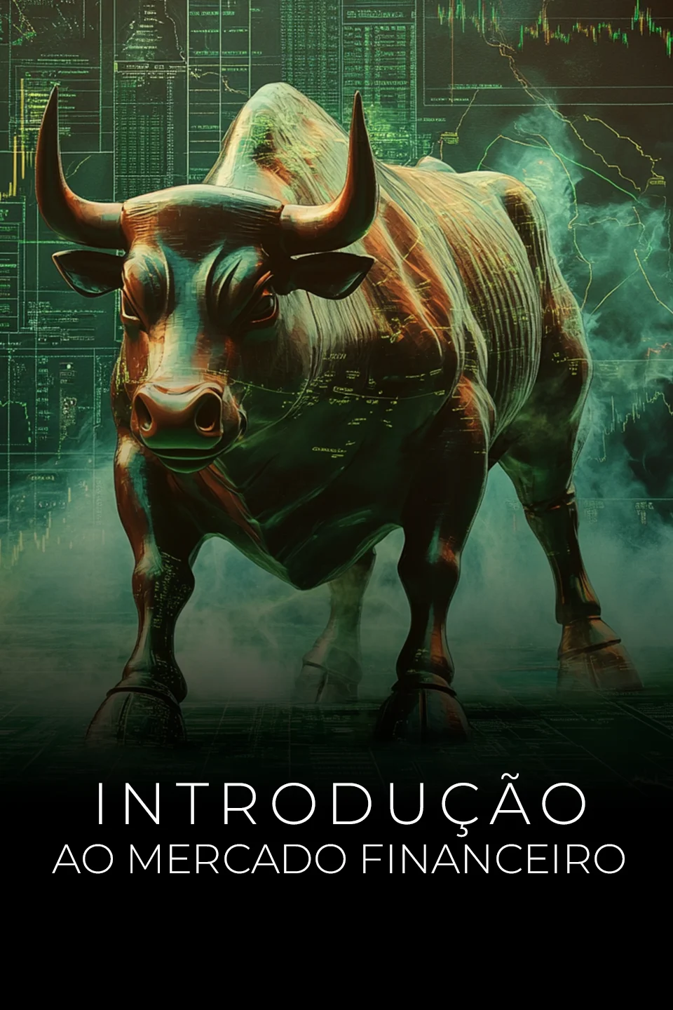 Introducao-ao-Mercado-Financeiro (1)